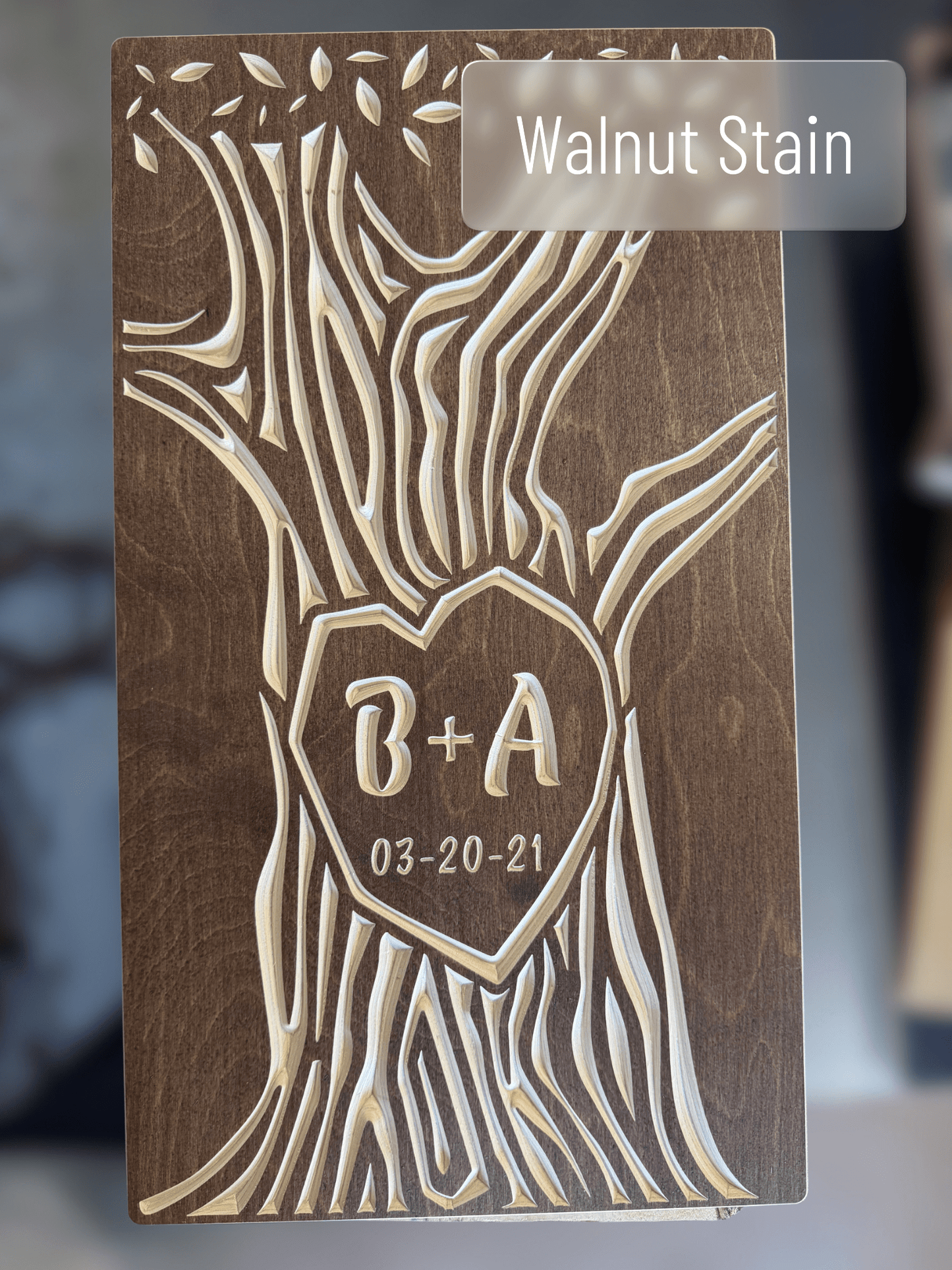 Names and Date Carved in Tree Design